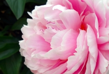 Balatoni hosszú hétvége - Pünkösd 