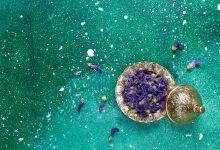 Örök fiatalság hete 